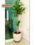 Suporte Para Vaso De Planta Redondo Rodinhas Silicone 35cm - Deck Modular