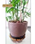 Suporte Para Vaso De Planta Redondo Rodinhas Silicone 35cm - comprar online
