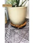 Suporte Para Vaso De Planta Redondo Rodinhas Silicone 35cm - loja online
