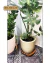 Suporte Para Vaso De Planta Redondo Rodinhas Silicone 35cm - comprar online