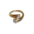 Anillo Collision en internet