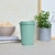 Vaso rayado Cafe en internet
