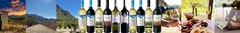 Banner da categoria Kit de Vinho