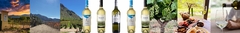 Banner da categoria Vinho Branco