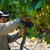 Kit 2 pçs Vinho 1 Branco Suavignon 1 Tinto Malbec Altupalka 750ml - loja online