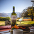 Kit 3 pçs Vinho Branco 1 Sauvignon Blanc 2 Torrontés 750ml - loja online
