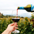 Kit 3 pçs Vinho Tinto Carbenet Sauvignon com Malbec Finca Las Nubes Argentino 750ml na internet