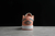 Jordan 1 Low Light Madder Root - Draik