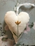 Colgante corazón