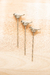 Set x 3 Pinches para Picadas - comprar online