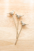 Set x 3 Pinches para Picadas