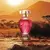PERFUME DE MUJER AFRICAN SUNRISE EDP 75ML BOTICA 214 en internet