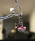 Charm bailarina