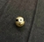 Charm Minion