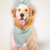 Bandana Pet para Cachorros e Gatos - Milão