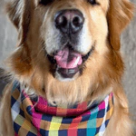 Depoimento de DOOG USE