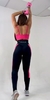 Leggins Hidra Queen Art 617 en internet