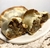 Empanadas - comprar online