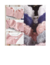 BRA PLAYTEX 52119 - comprar en línea