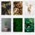 Placas decorativas Quadros - Artes - Plantas - MDF 28,7 x 20cm 3mm