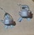 Escarapelas en internet