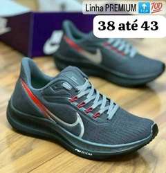 Nike Pegasus en internet
