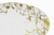 PLATON DE PORCELANA OVAL RAPTURES GOLD DE 42 CM en internet