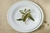 PLATO PAN DE PORCELANA CONIFERE BLANCO DE 17CM - Tendence