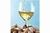 COPA VINO BLANCO DE 460 ML MAGNIFICO - Tendence