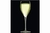COPA FLAUTA DE 320 ML MAGNIFICO - Tendence