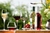COPA FLAUTA VINEA 200ML - Tendence