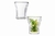 SET 2 PIEZAS ASSAM VASO DE VIDRIO DOBLE PARED 250 ML en internet