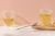 JUEGO 2 VASOS PARA CAPUCHINO DOBLE PARED PAVINA VIDRIO BOROSILICATO 350ML - Tendence