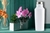 TERMO CON TAPA EN COLOR BLACO DE 500 ML - Tendence