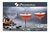 JUEGO DE 4 COPAS CHAMPAGNE TIMELESS DE VIDRIO 255ML - Tendence