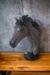 Escultura de Torso de Caballo
