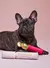 Pawfect Strokes Mascara Dog Toy *PRE-ORDEN* - tienda en línea