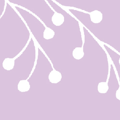 Categoría 4