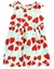 Vestido e Calcinha Bebê Menina Carter's