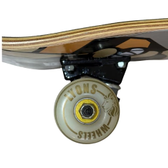 SKATE SEMI PRO CISCO na internet