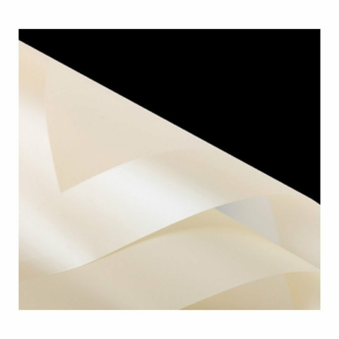 Poli Acetinado Vivace Opaca Marfim Coreano 58cmx58cm.