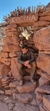 Imagen de Campera Desert