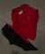 CONJUNTO DEPORTIVO PARA HOMBRE N-12 en internet
