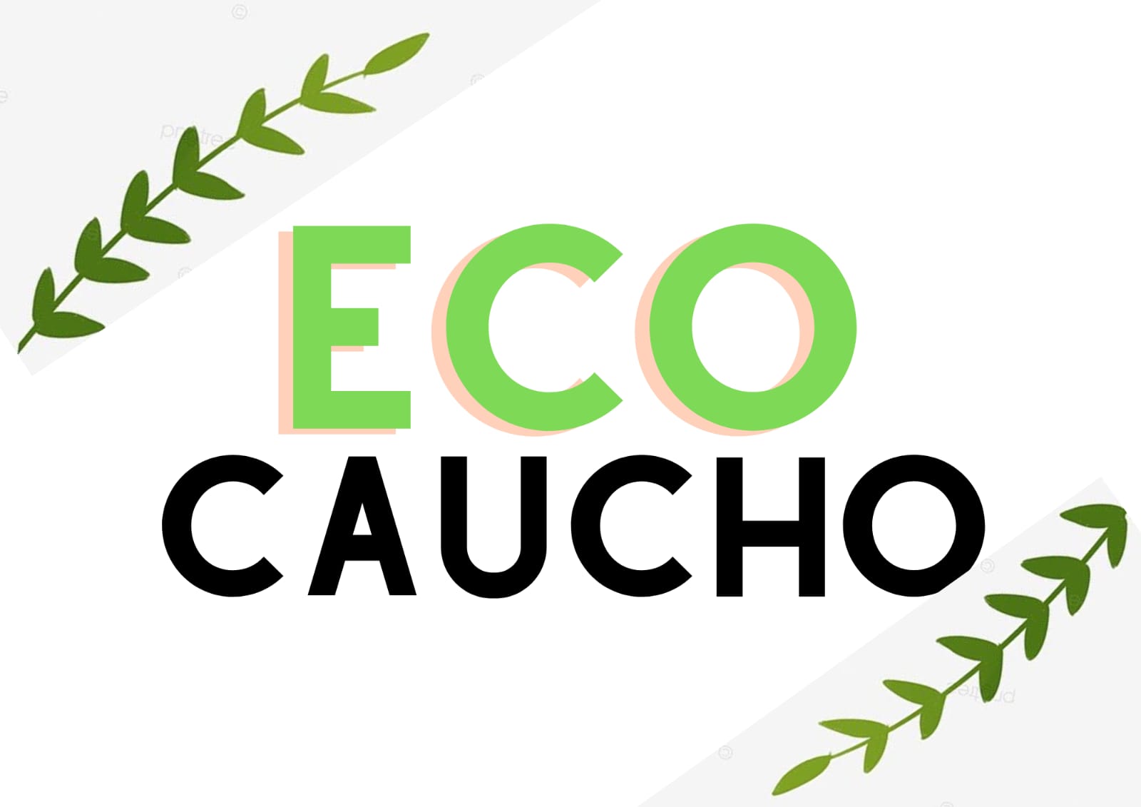 EcoCaucho