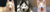 Banner de Alcateia Siberian