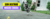 Banner de Alcateia Siberian