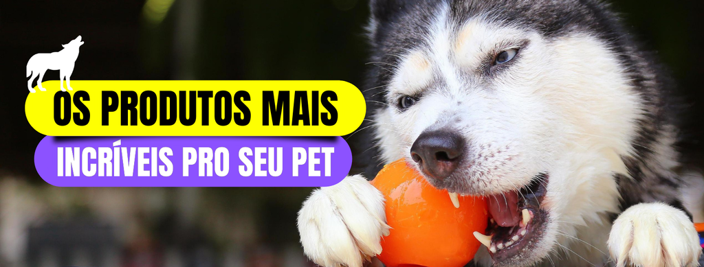 Imagem do banner rotativo 1