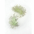 Respingo Natural - comprar online