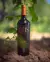 EJES SINGLE VINERYARD ASPIRANT BOUCHET TEMPRANILLO en internet