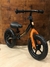 CAMICLETA REMBRANDT BICICLETA